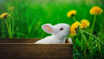 开云-比利时绝地反击乌拉圭，格纳布里统治全场——足球激情再燃余晖