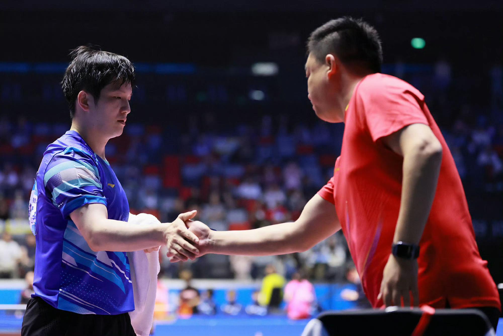 开云APP-关于德国队险胜英格兰队，樊振东惊艳四座的信息